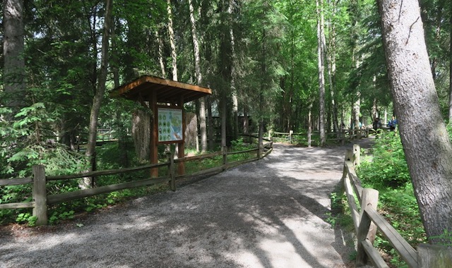 アラスカ動物園