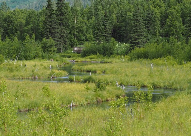 Albert Loop Trail, Eagle River