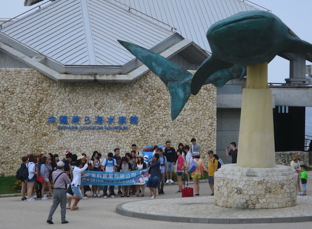 美ら海　水族館