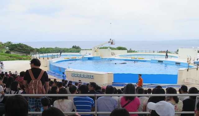 美ら海　水族館