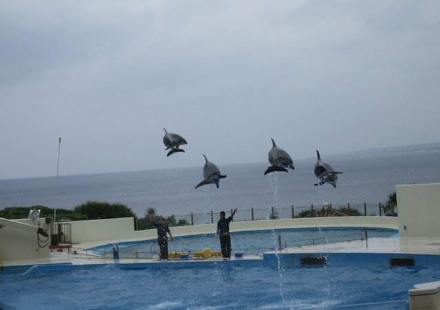 美ら海　水族館