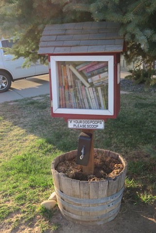 Little Library