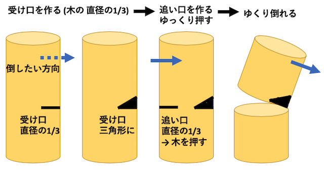 庭木の伐採方法 受け口 1/3, 追い口 1/3, ゆっくり押す