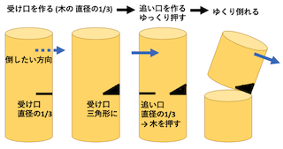 庭木の伐採方法 受け口 1/3, 追い口 1/3, ゆっくり押す