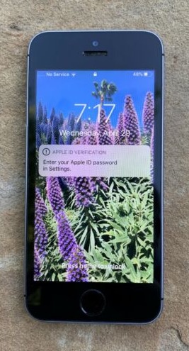 iPhone SE 第一世代 中古 ebay オークション