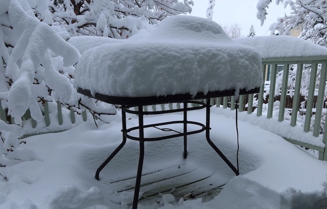 アメリカの雪 