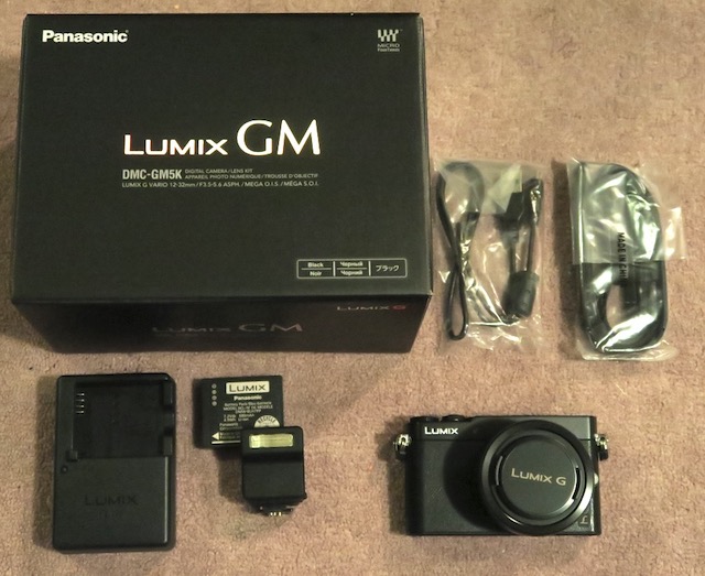 ebay lumix dms-gm5k