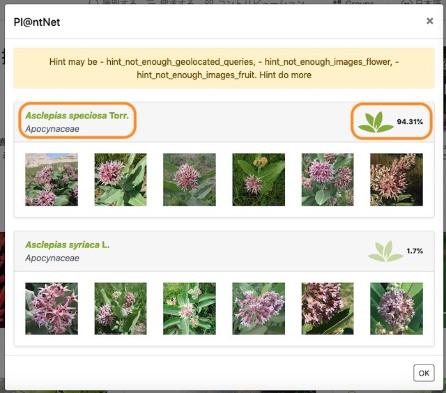 植物　 Plantnet で識別