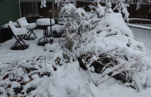 コロラド 4月の雪