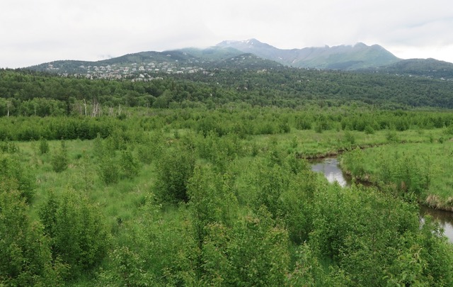 アンカレジ沿岸野生生物保護区 Anchorage Coastal Wildlife Refuge