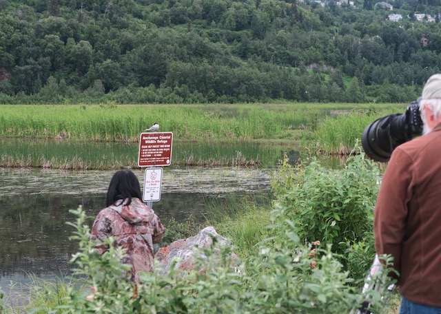 アンカレジ沿岸野生生物保護区 Anchorage Coastal Wildlife Refuge