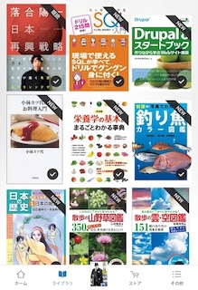 iPad mini で Kindle本を読む