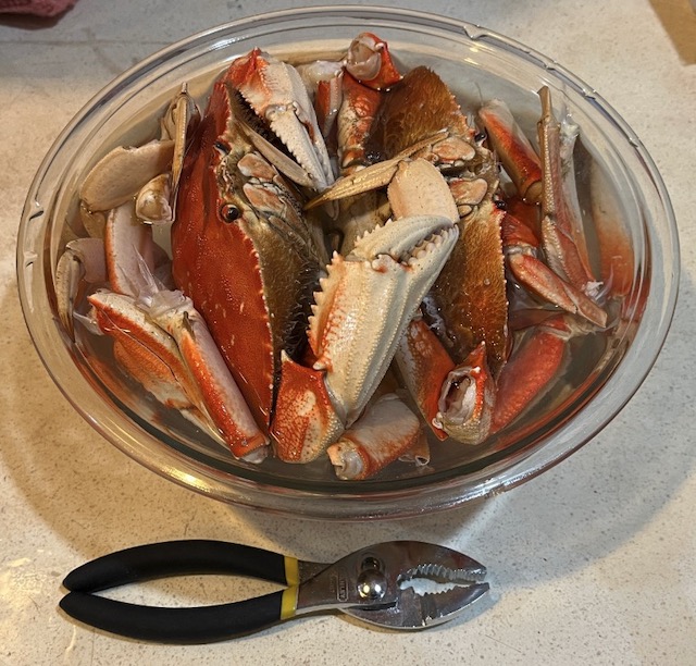 Dungeness Crab　アメリカのカニ　ダンジネスクラブ