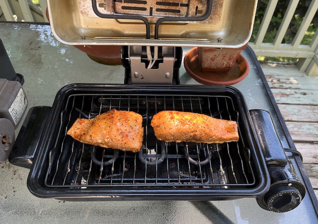 Fujitronic アメリカの魚焼き器