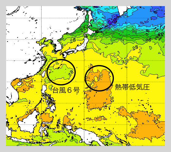 NOAA SST 台風６号 2023年8月4日