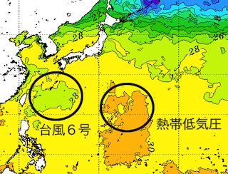 NOAA SST 台風６号 2023年8月4日