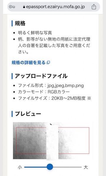 オンラインでパスポートの更新 在留届 ORR 経由 ICチップの読み取り