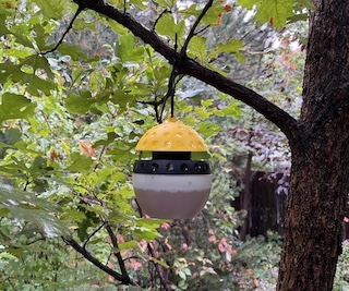 蜂の巣駆除 Yellowjacket スズメバチ Spectracide Wasp, Hornet & Yellowjacket Trap