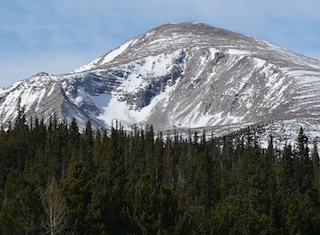 USAJPN.COM トップ写真 Bushtit コロラド州 Indian Peaks Wilderness Mount Audubon